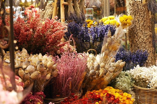 různé druhy barevných sušených květin
